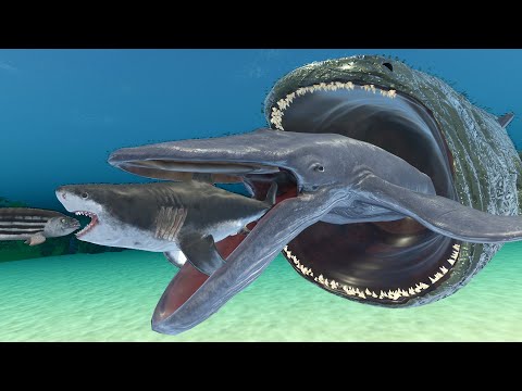 The Bloop Eats Fishes To Grow | 3D Sea Animal Animation Comparison