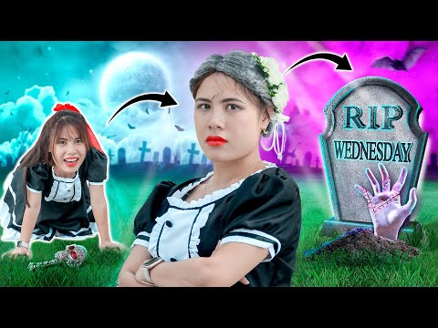 CÔ DÂU MIU TỪ KHI SINH RA ĐẾN LÚC QUA ĐỜI |