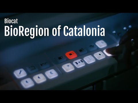 BIOCAT. Brand Video