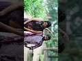 Mellaga Karagani Video Song Varsham Movie Songs Prabhas X Trisha Ft Sahasra Reddy X Sumanthh