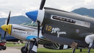 preview picture of video 'Hahnweide 2013 Curtiss P-40 Warhawk & P-51 Mustang'