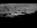 Marissa Nadler - Mayflower May (Türkçe Çeviri)