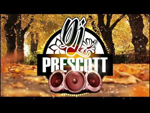 DJ Prescott  -   Whole Again