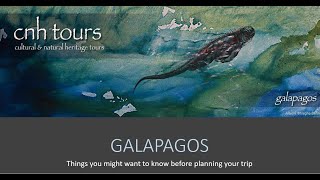 Things to know when planning your trip to Galapagos