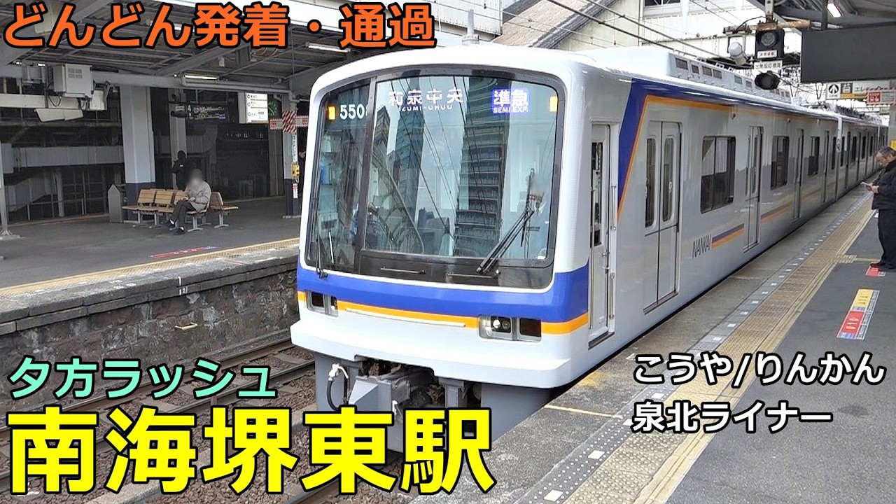 南海堺東駅 4🚃どんどん電車が発着・通過！●特急 泉北ライナー・こうや・りんかん、急行、準急 等／夕方ラッシュ 高野線