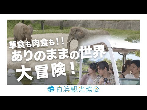 アドベンチャーワールド 中編