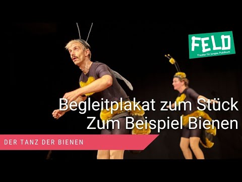 Zum Beipiel Bienen - Der Tanz Der Bienen