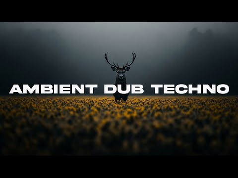 AMBIENT DUB TECHNO MIX  "Shades Of Gray 17"