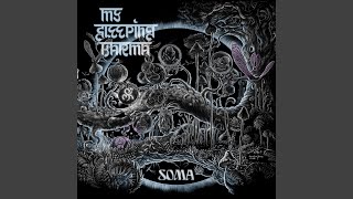 Download lagu Pachyclada mp3 Download lagu Pachyclada mp3