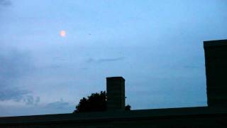 Chimney Swifts with Moon in Le Sueur, MN