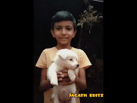 90 days with sweet Ruby 🥰