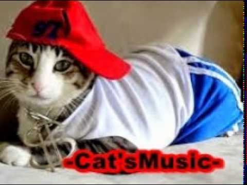 Cat'sMusic - Farruko Ft Osmani Garcia y J Alvarez - Estoy pa dartela
