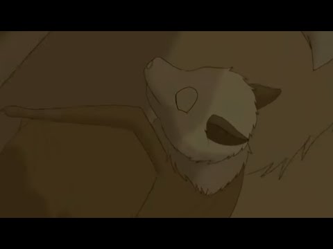 Stellaluna gets lost | Stellaluna