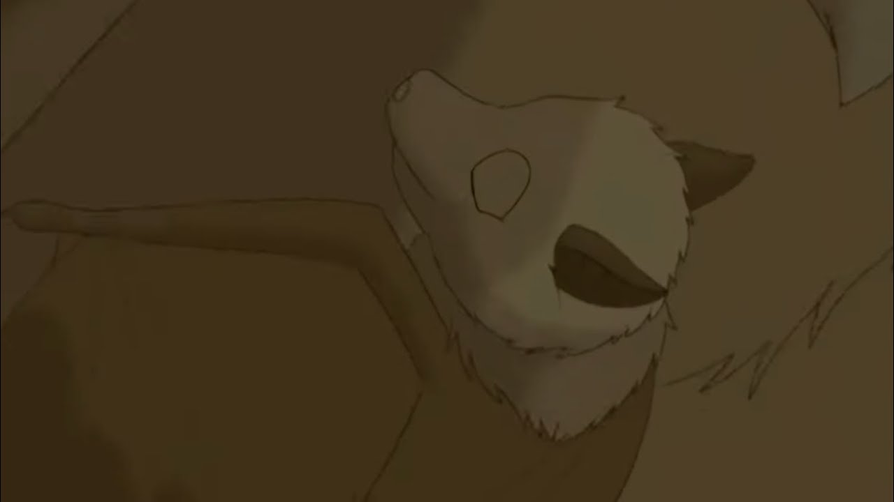 Stellaluna gets lost | Stellaluna