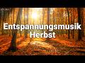 Entspannungsmusik Herbst Herbstwald Klavier Stressabbau Herbstmusik