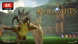 Hogwarts Legacy MODS Ride DragonOgryff Hebridean Dragon PC Gameplay Playthrough