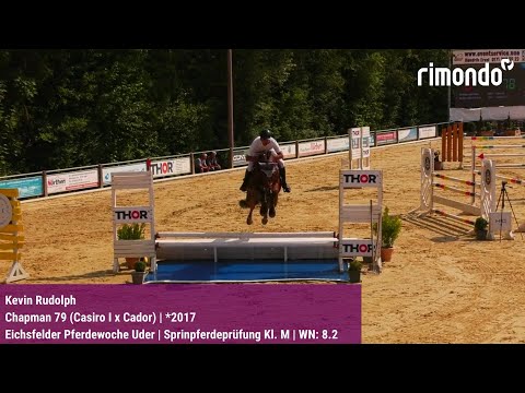 BuCha-Quali Eichsfelder Pferdewoche Uder – Kevin Rudolph & Chapman 79