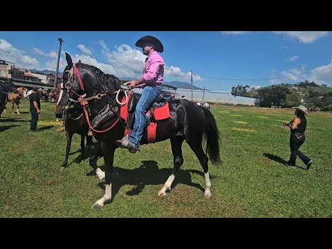  TOP CAVALGADA DA APAE E QUEIMA DO ALHO EM ITANHANDU MG 