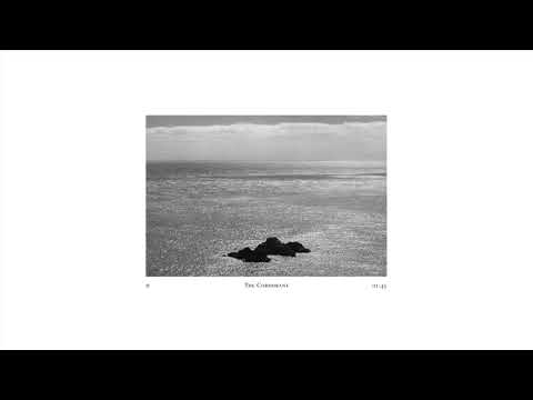 Video thumbnail for The Cormorant