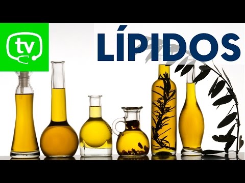 Los lípidos