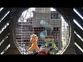 Super Why Plush Adventures Super Why And Buddy S Playground Adventure