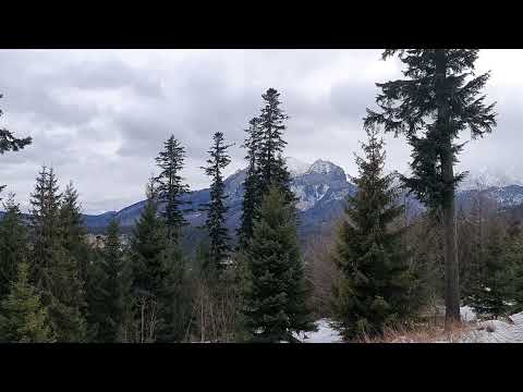 #tatryodręki – Jodła