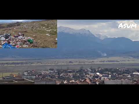 Orașul Zărnești 2023!