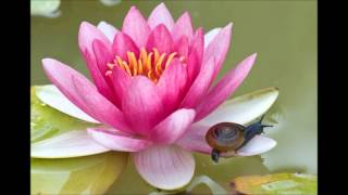 Take My Hand Precious Lord  -  Tennessee Ernie Ford.wmv