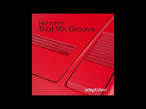 AM173 Nat Larvin - That 90s Groove