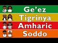 ETHIOSEMITIC LANGUAGES