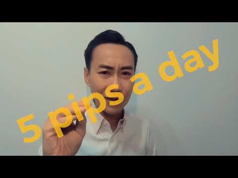 download lagu mp3 mp4 5 Pips A Day, download lagu 5 Pips A Day gratis, unduh video klip 5 Pips A Day