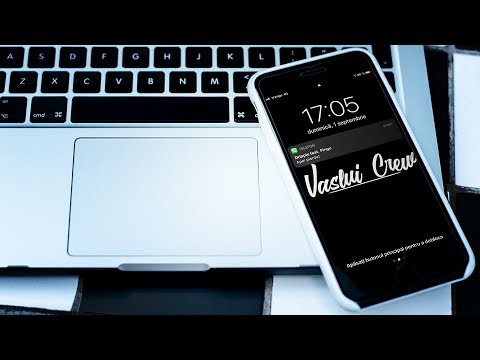 Dripple feat. Pingu - Apel pierdut (Visual)