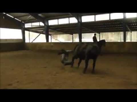 Zislow ostern 2013 fails