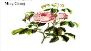 La vie en rose - Ming Cheng  (in German)