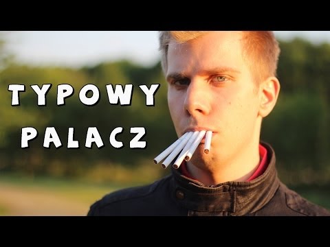 TYPOWY PALACZ
