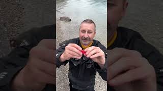 Catch me If you can #shorts