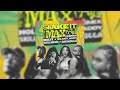 MOLIY Silent Addy Skillibeng Shenseea SHAKE IT TO THE MAX REMIX Clean
