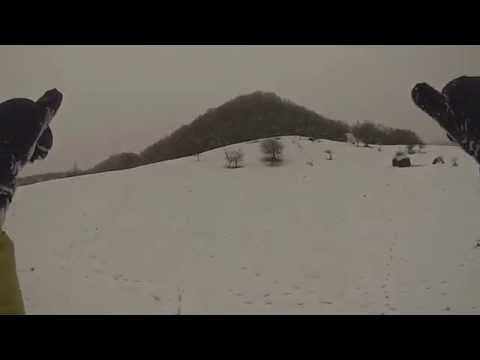 Partie Vladesti 2014