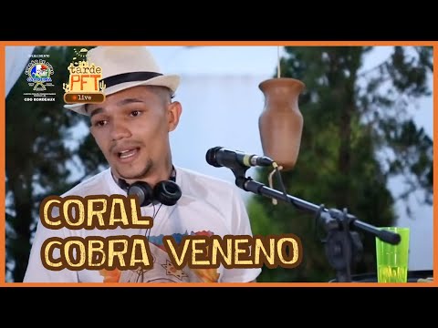 Cobra veneno - Formiga - Tarde PFT live