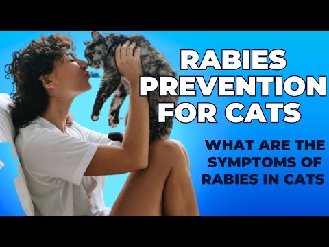 Rabies Prevention for Cats / Rabies in Cats / Cat Grooming