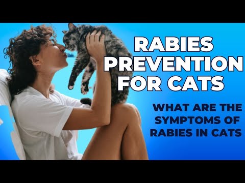 , title : 'Rabies Prevention for Cats / Rabies in Cats / Cat Grooming'