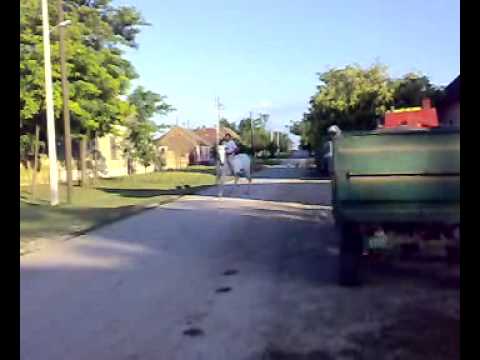 Ilandža,Jocina Maja