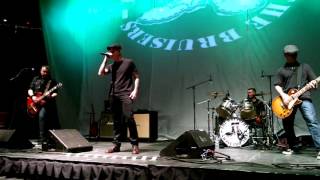 The Bruisers "Brown Paper Bag"