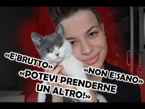 Voglio raccontarvi una cosa... |Gaia Chiodi *story time*