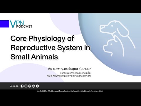VPN Podcast EP.74 : Core Physiology of Reproductive System in Small Animals