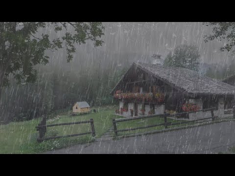 Listen for 15 Minutes - You will Fall Asleep with the Rain Sound on the Rood in the Foggy Forest