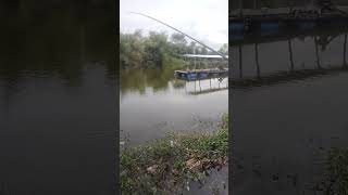 Download lagu Saat strike rasanya luar biasa bikin full senyum. 🐟🎣#mancing #mancingmantap #fishing #mancingikan mp3