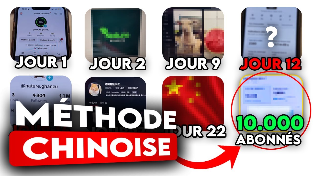 J'ai monté un Compte TikTok à 10 000 Abonnés en 20 Vidéos.