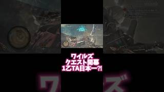 ワイルズクエスト開幕1乙TAできました #mhws #モンハンワイルズ #モンハンワイルズobt
