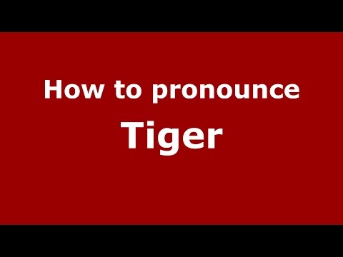 How to pronounce Tiger